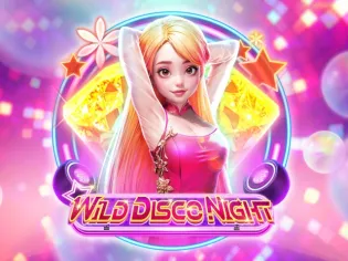 Wild Disco Night screenshot
